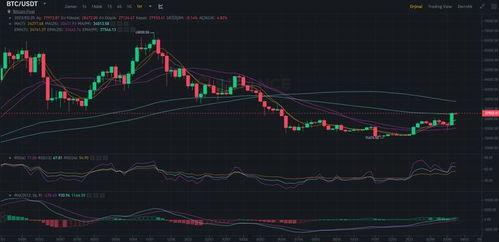 btc最新爆料,揭秘BTC未来走势与重大发展动态 第2张 btc最新爆料,揭秘BTC未来走势与重大发展动态 第2张
